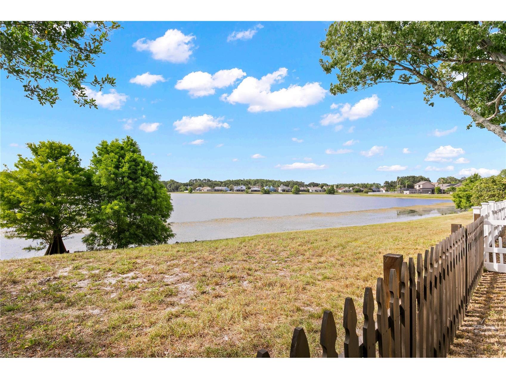 11844 Branch Mooring Drive Tampa FL 33635 TB8523792 image50