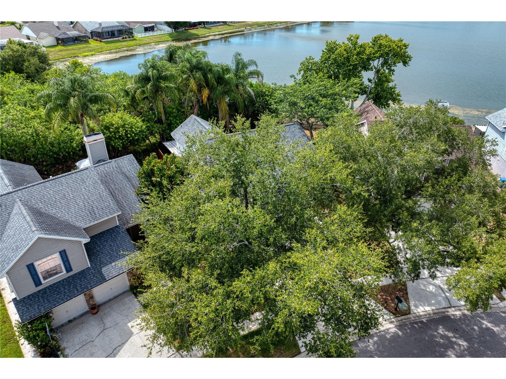 11844 Branch Mooring Drive Tampa FL 33635 TB8523792 image52