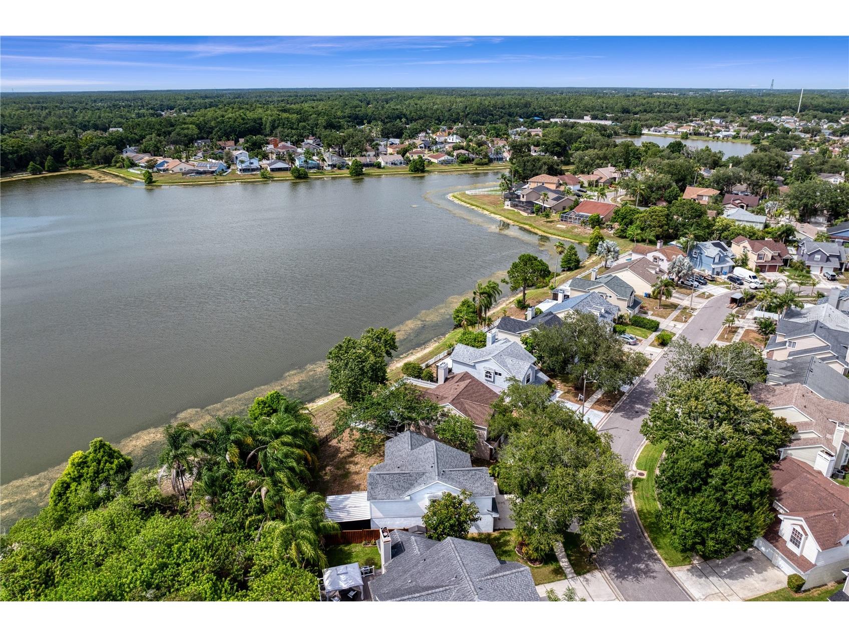 11844 Branch Mooring Drive Tampa FL 33635 TB8523792 image55