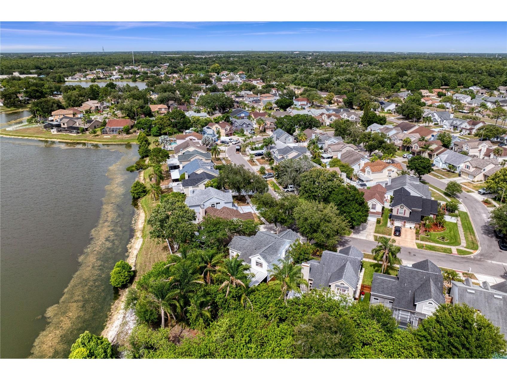 11844 Branch Mooring Drive Tampa FL 33635 TB8523792 image57