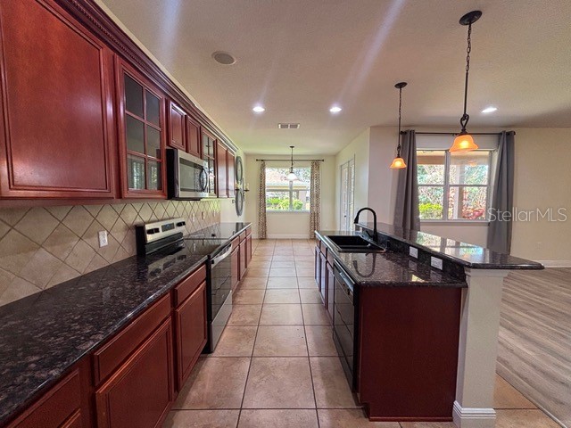 11844 Chateaubriand Avenue Orlando FL 32836 O6420068 image12