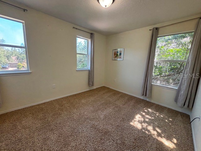 11844 Chateaubriand Avenue Orlando FL 32836 O6420068 image33
