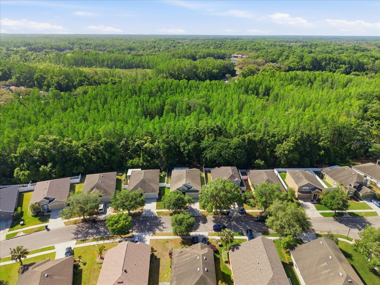 11844 Colony Lakes Boulevard New Port Richey FL 34654 TB8495949 image46