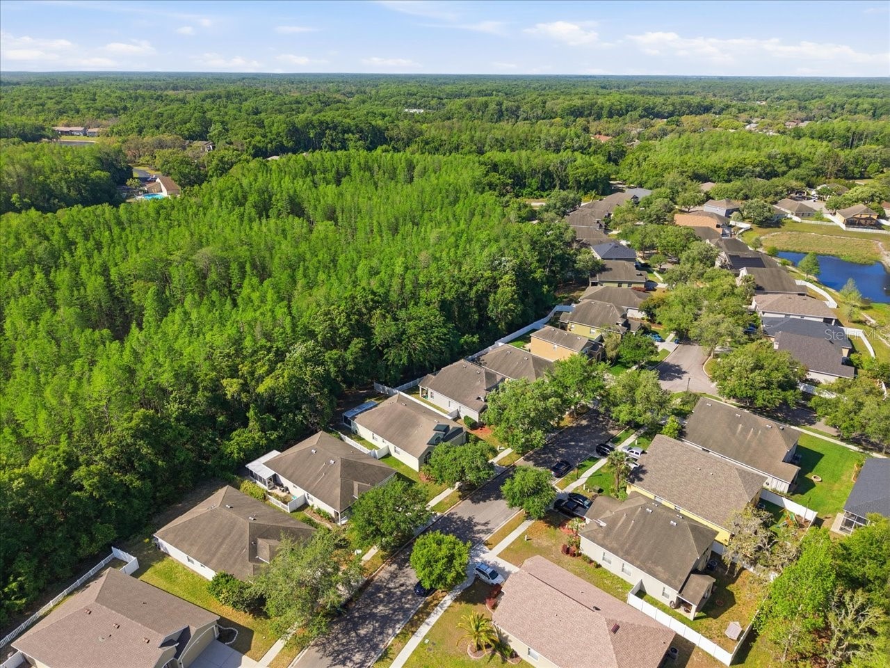 11844 Colony Lakes Boulevard New Port Richey FL 34654 TB8495949 image47