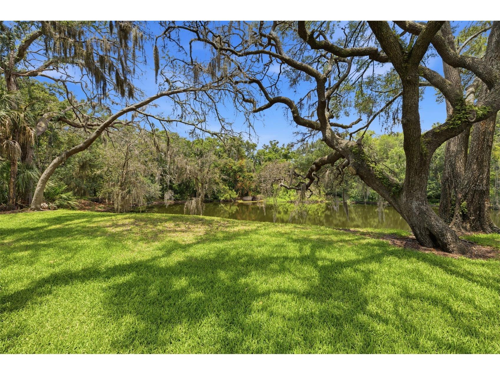 11844 Skylake Place Tampa FL 33617 TB8519481 image20