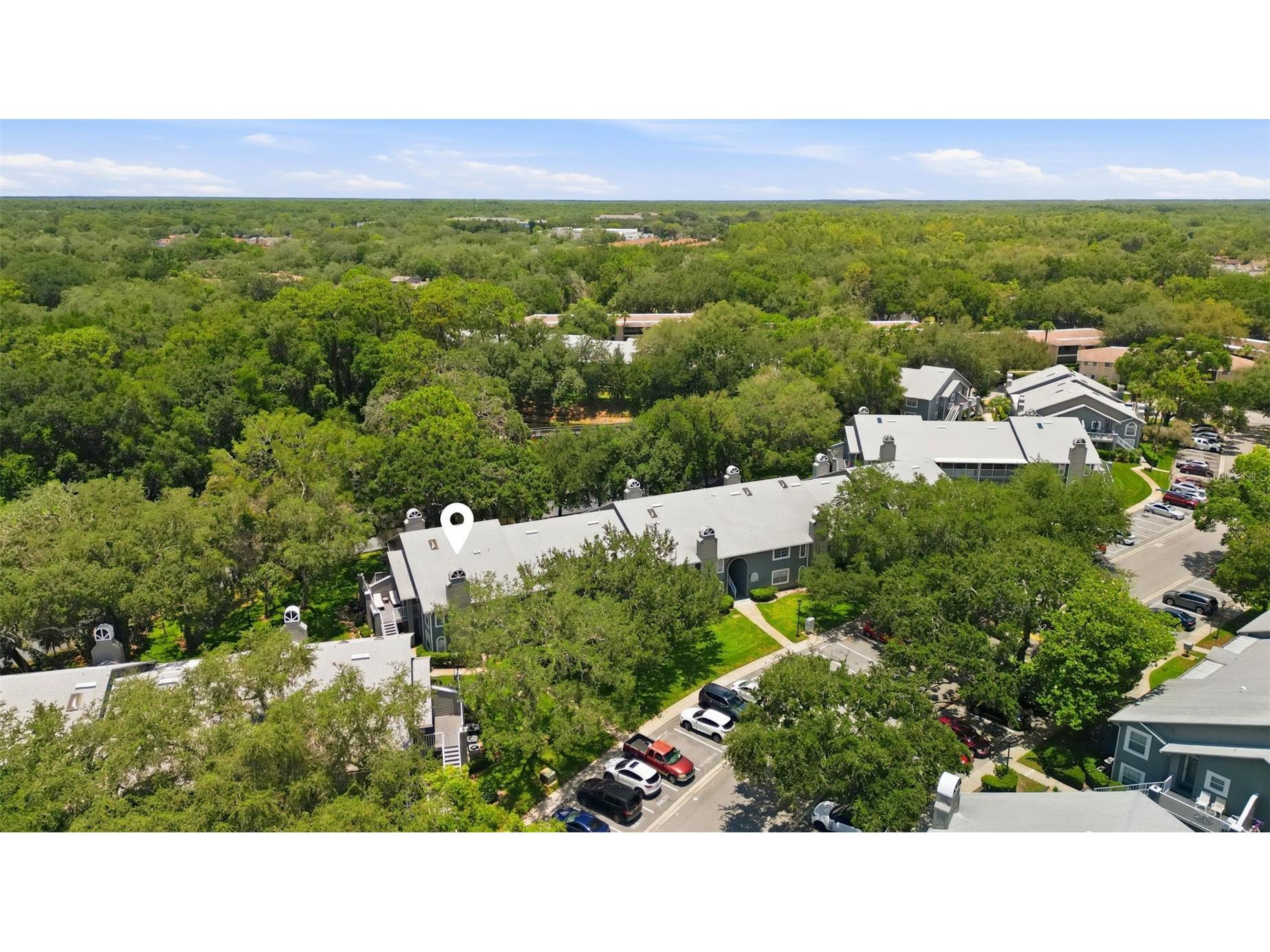 11844 Skylake Place Tampa FL 33617 TB8519481 image21