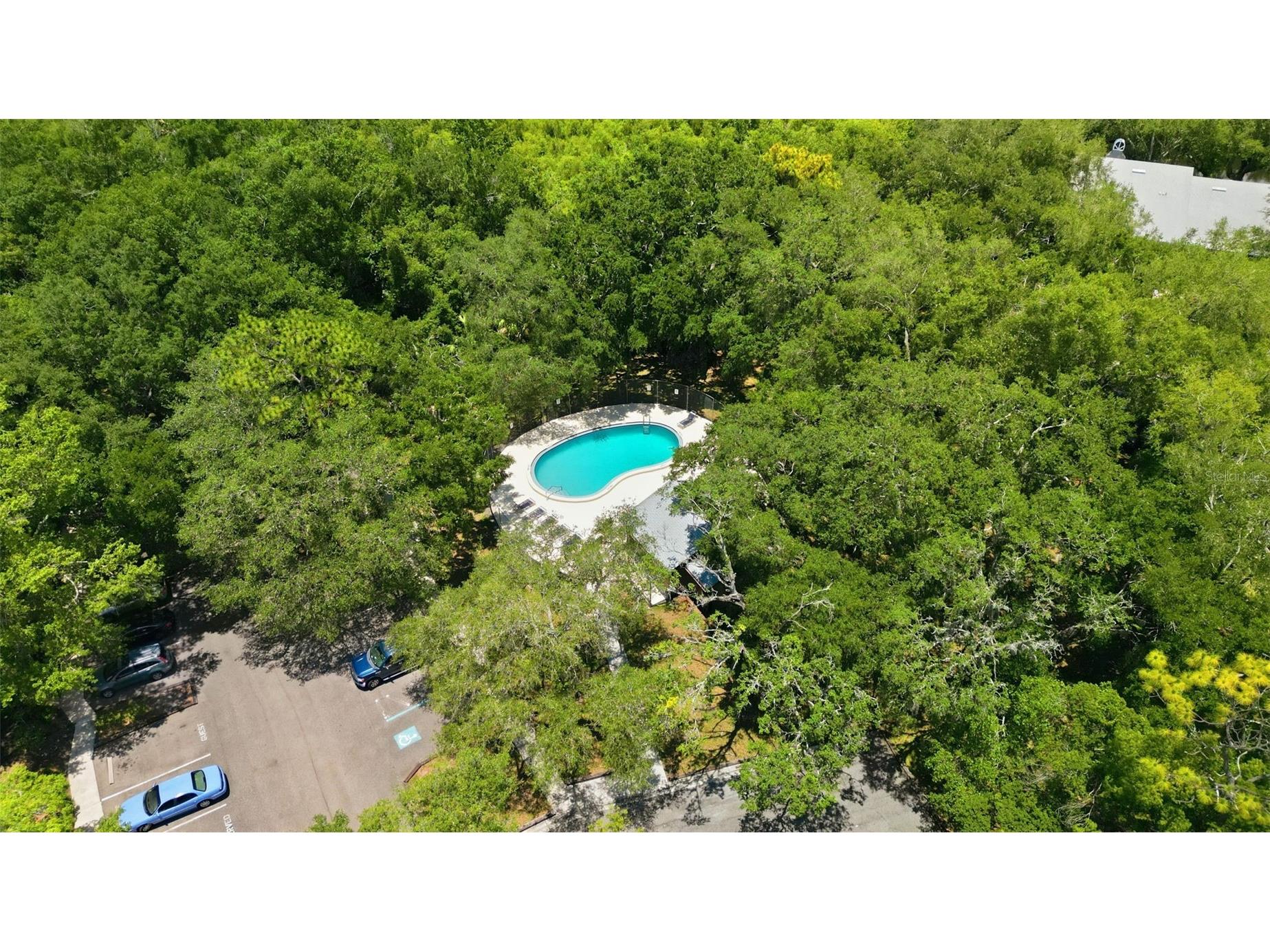 11844 Skylake Place Tampa FL 33617 TB8519481 image22