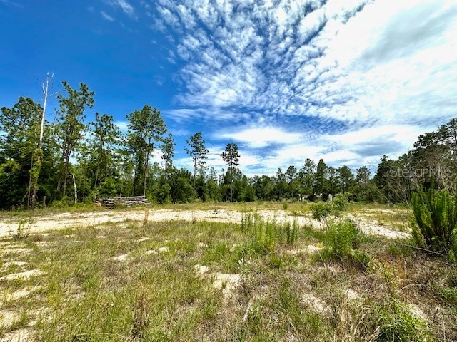 11844 SW 41st Place Ocala FL 34481 G5082970 image1