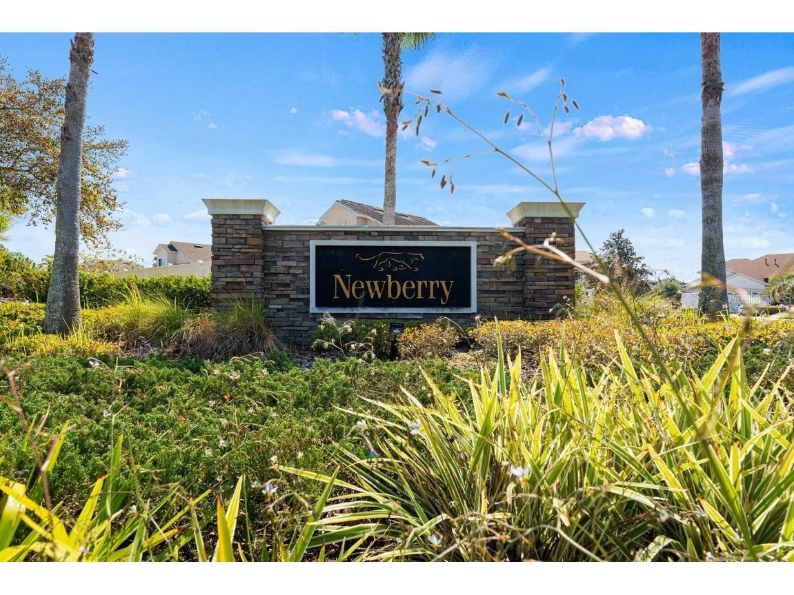 11845 Newberry Grove Loop Riverview FL 33579 TB8381997 image44