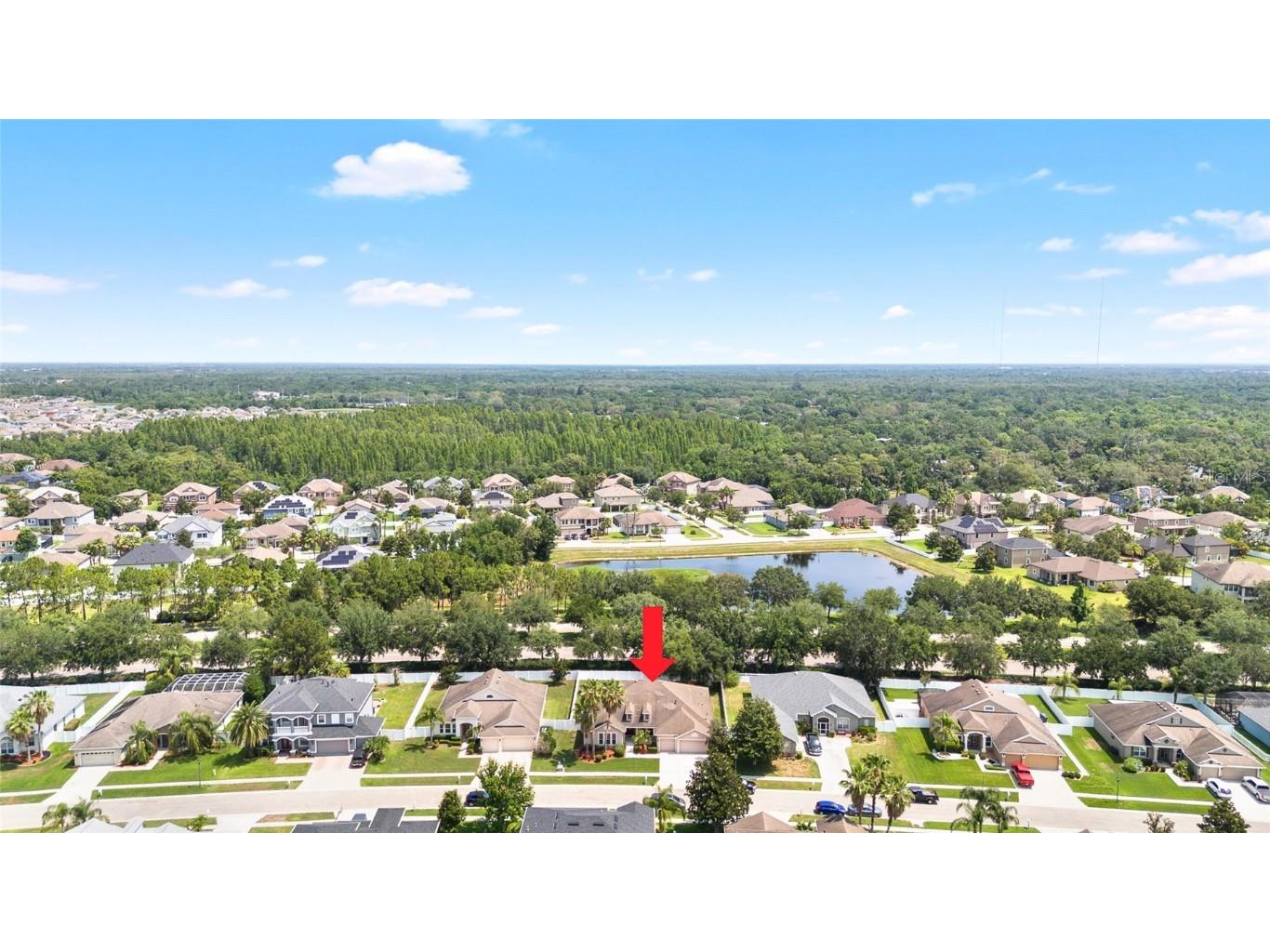 11845 Newberry Grove Loop Riverview FL 33579 TB8381997 image45