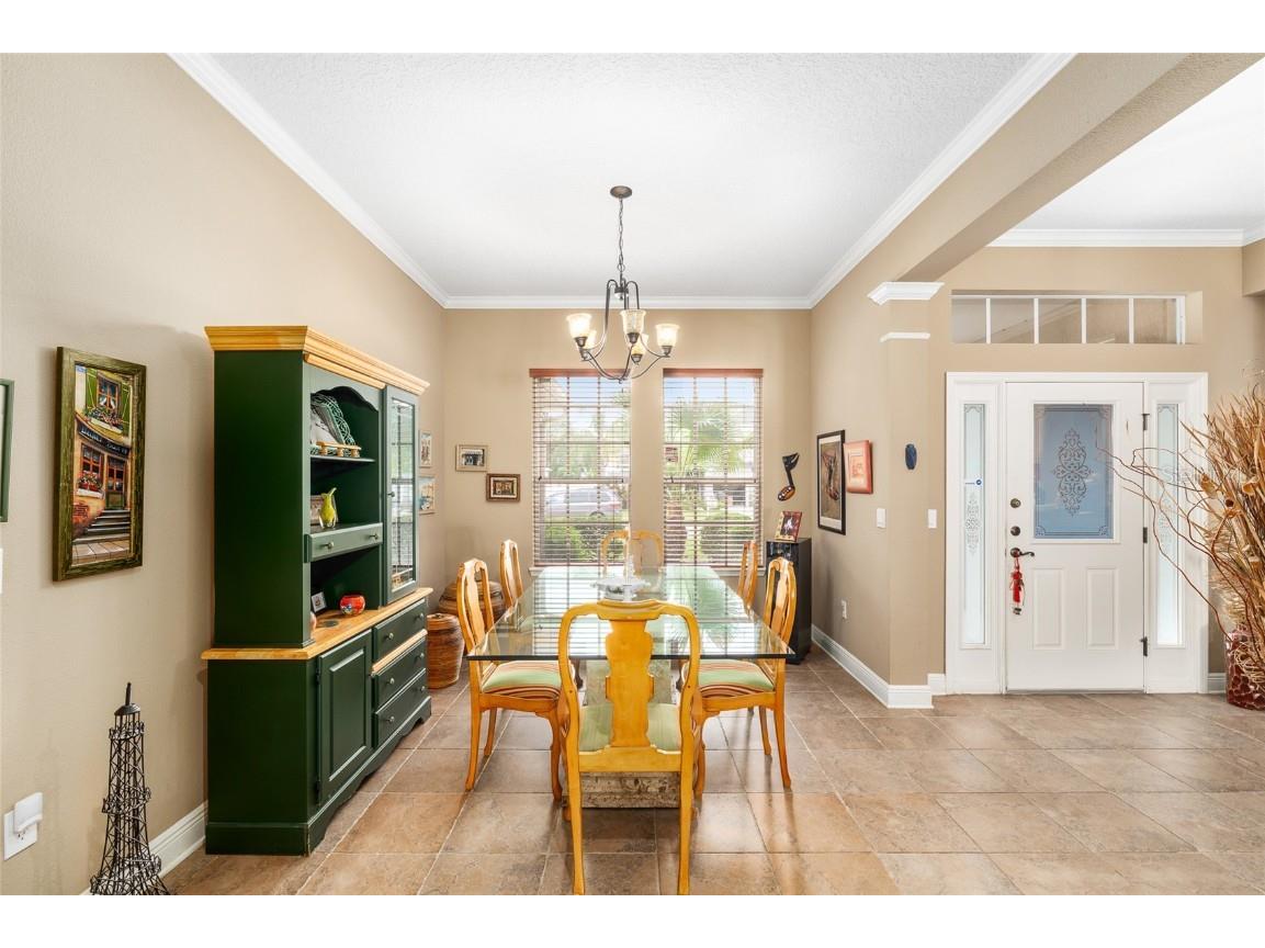 11845 Newberry Grove Loop Riverview FL 33579 TB8381997 image5