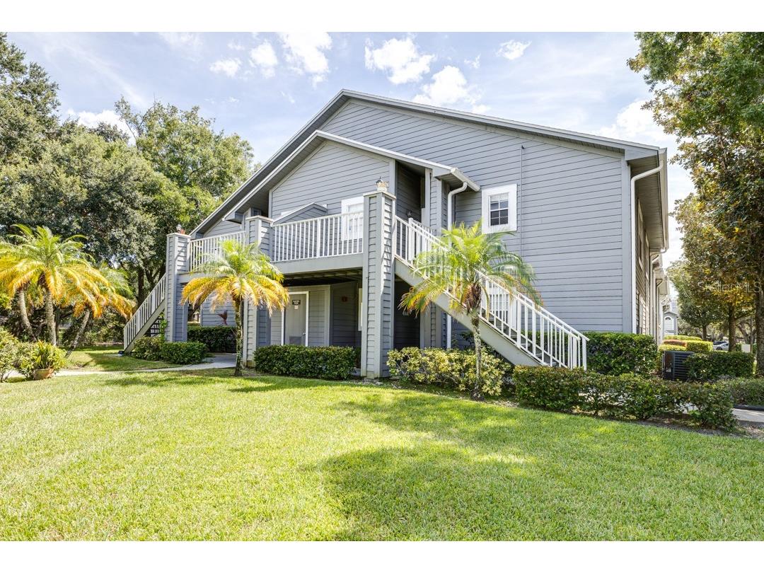11847 Skylake Place #D Tampa FL 33617 T3470890 image1