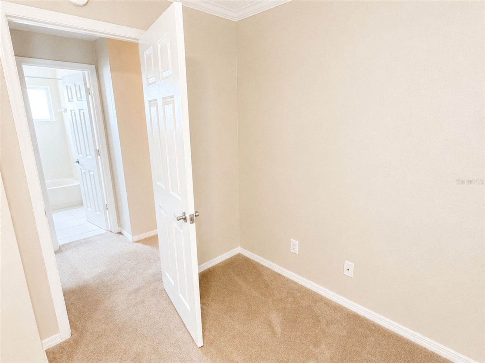 11848 Branch Mooring Drive Tampa FL 33635 TB8503394 image28