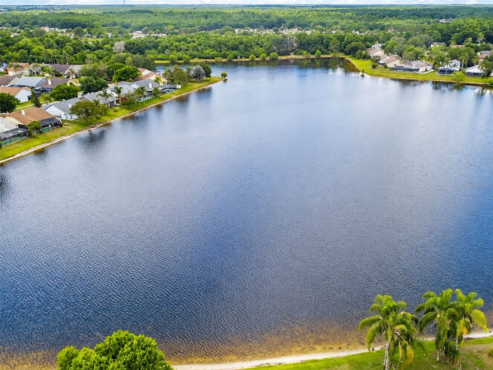11848 Branch Mooring Drive Tampa FL 33635 TB8503394 image3