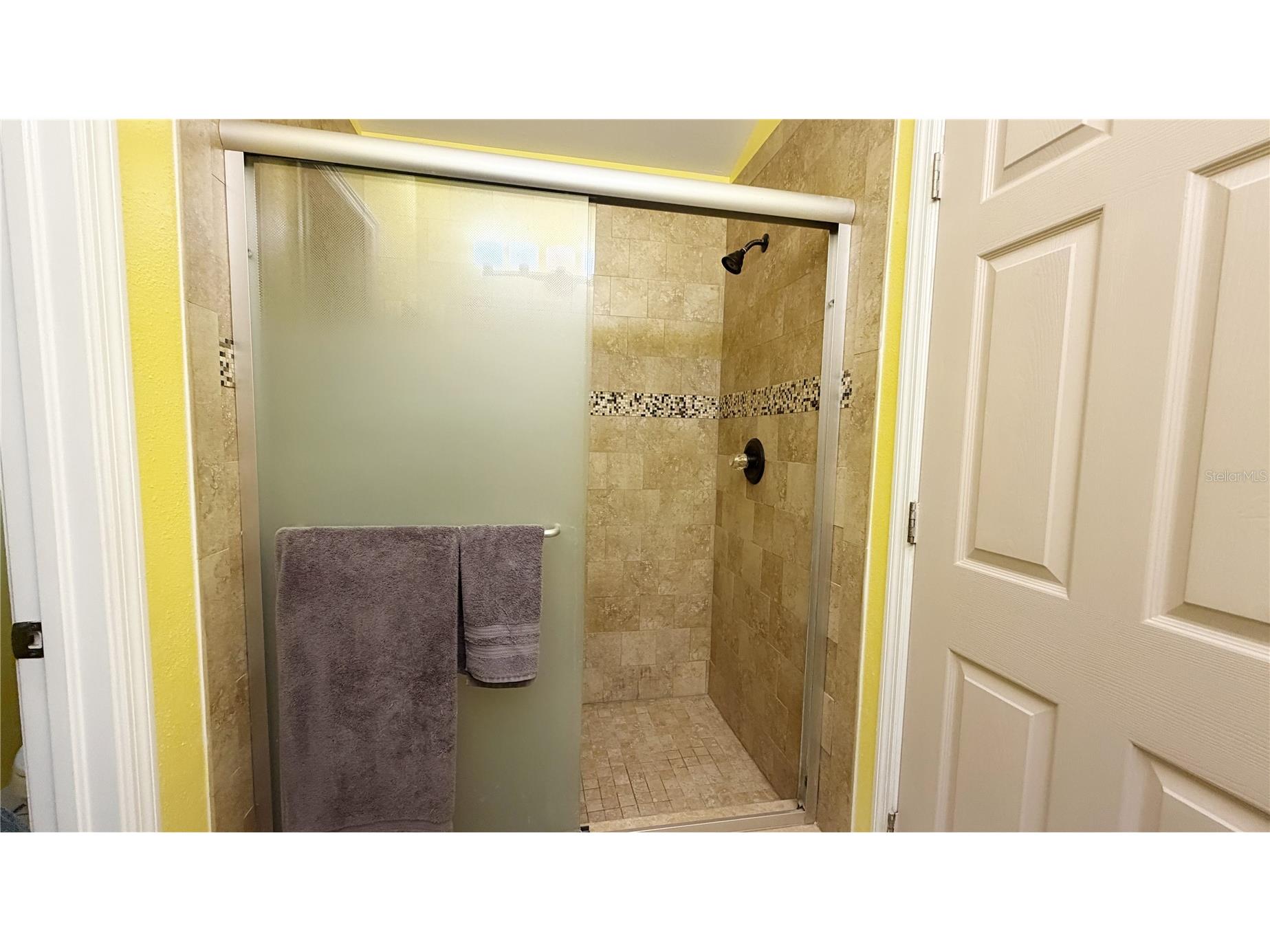 11848 Whisper Creek Drive Riverview FL 33569 TB8517456 image15