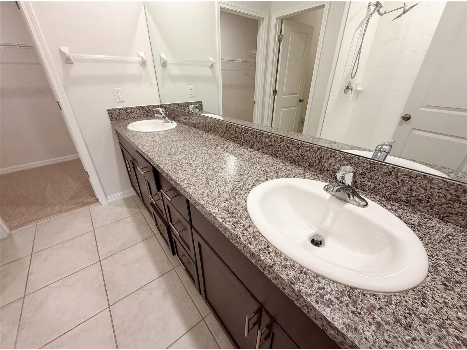 11849 Blackeyed Susan Drive Riverview FL 33579 O6397234 image23