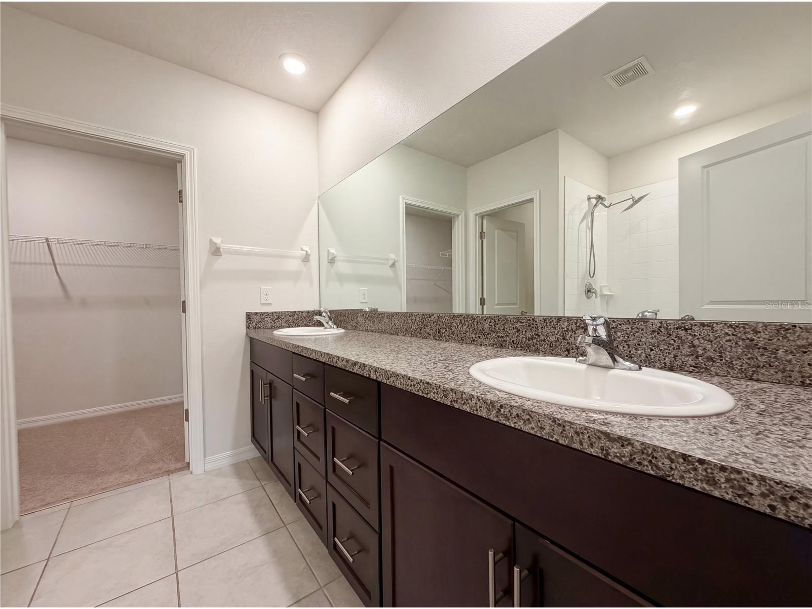 11849 Blackeyed Susan Drive Riverview FL 33579 O6397234 image24