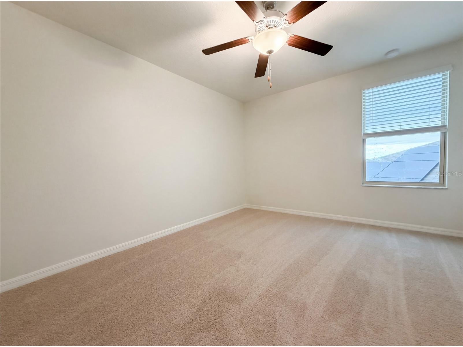 11849 Blackeyed Susan Drive Riverview FL 33579 O6397234 image28