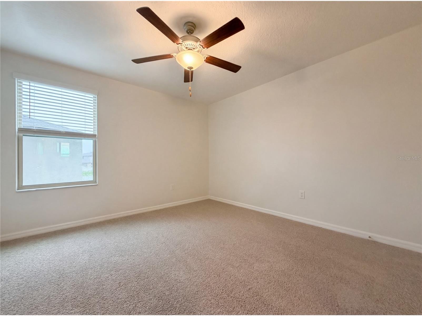 11849 Blackeyed Susan Drive Riverview FL 33579 O6397234 image30