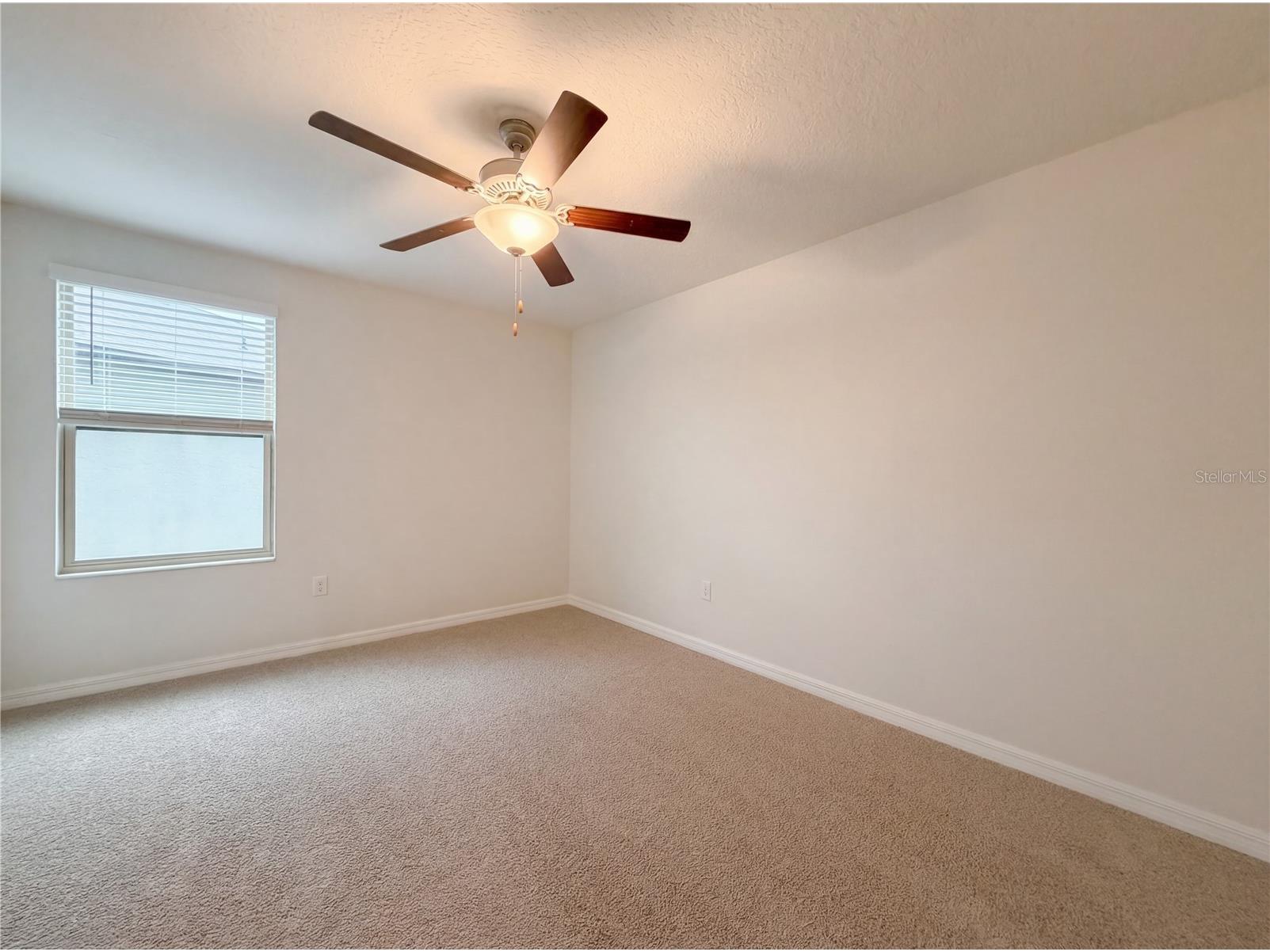 11849 Blackeyed Susan Drive Riverview FL 33579 O6397234 image34