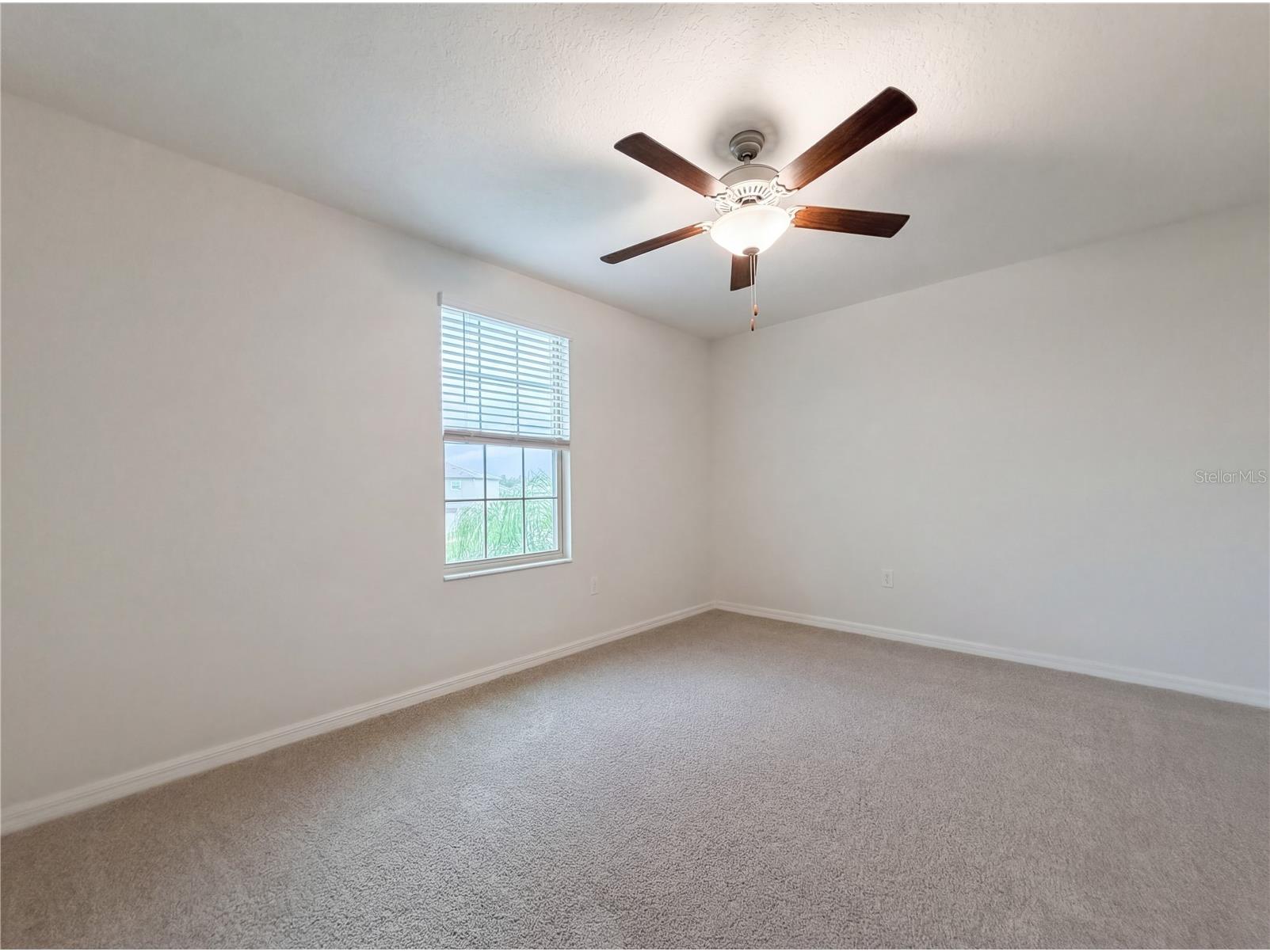 11849 Blackeyed Susan Drive Riverview FL 33579 O6397234 image36