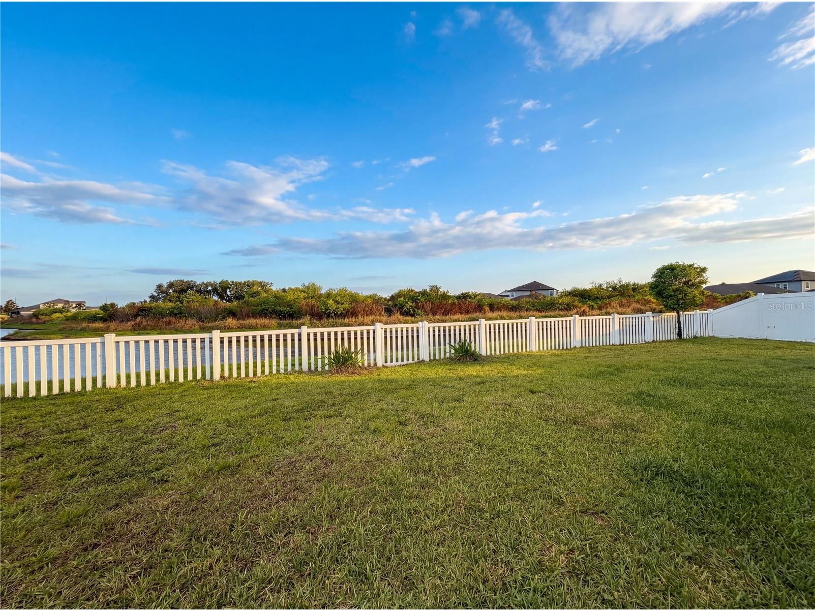 11849 Blackeyed Susan Drive Riverview FL 33579 O6397234 image39