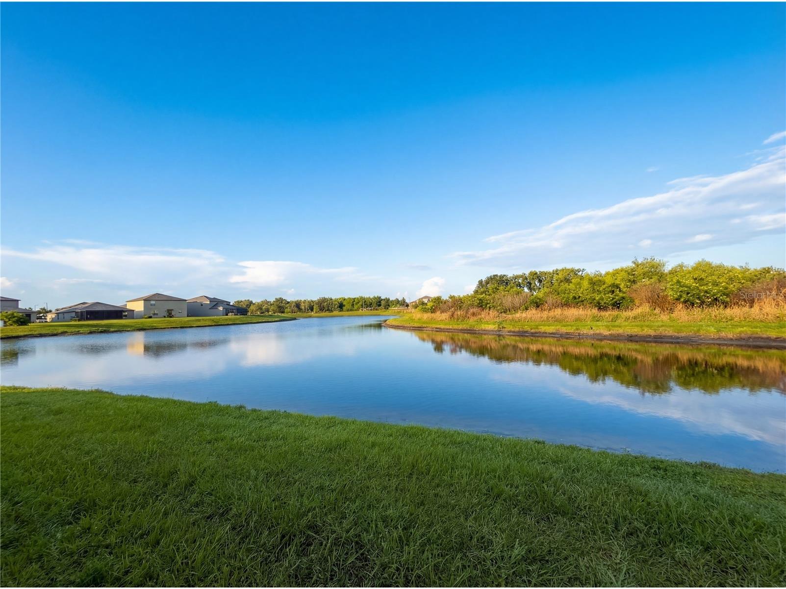 11849 Blackeyed Susan Drive Riverview FL 33579 O6397234 image40