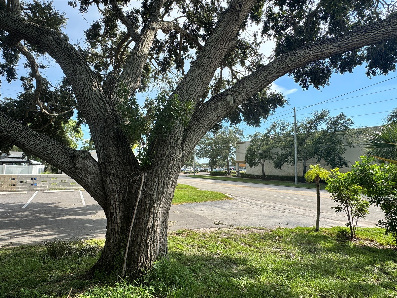 1185 58th Street N Saint Petersburg FL 33710 TB8413488 image20