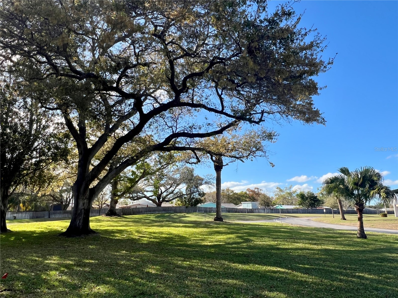 1185 Mission Circle Clearwater FL 33759 TB8479642 image2