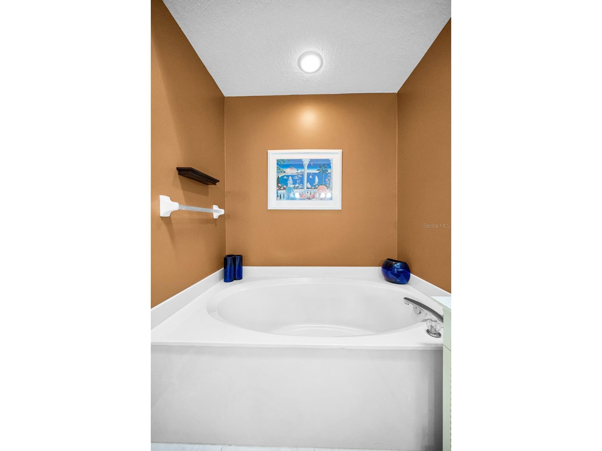 1185 Royal Boulevard Palm Harbor FL 34684 TB8491791 image33