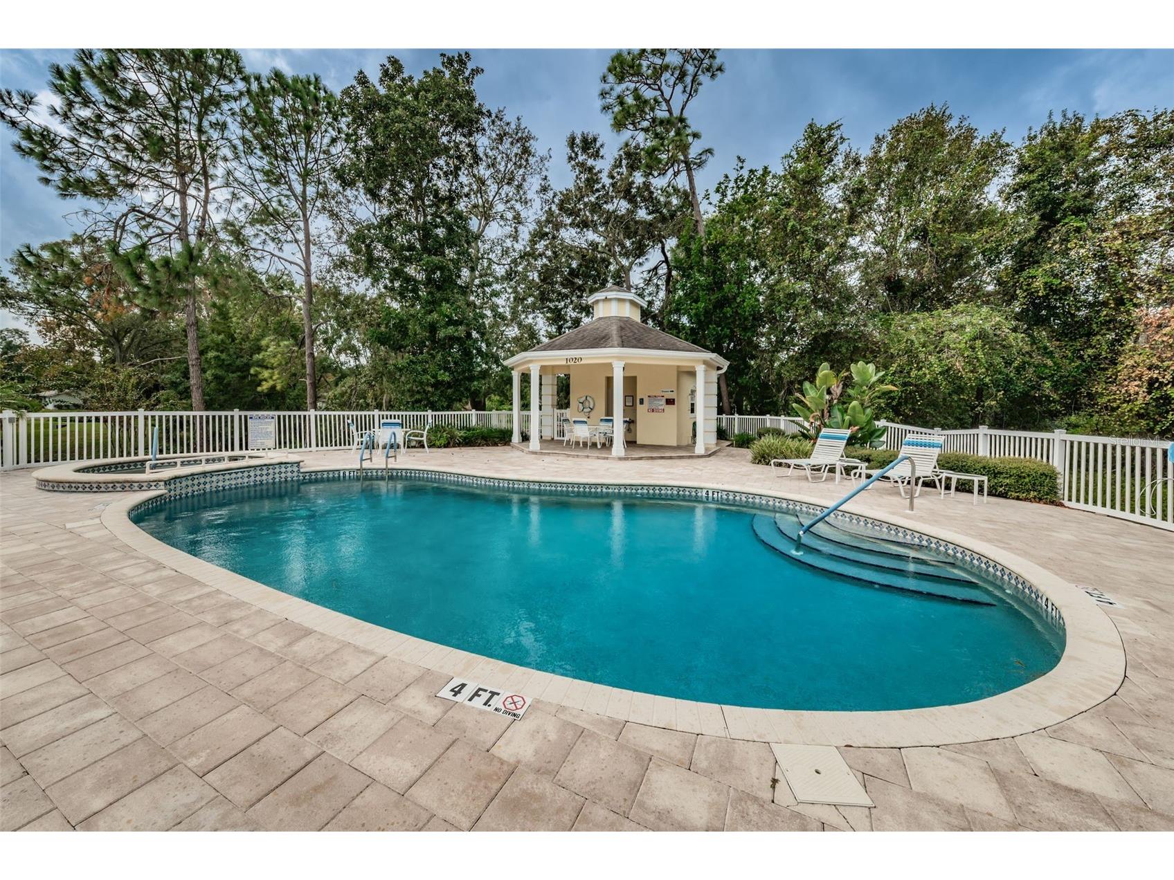 1185 Royal Boulevard Palm Harbor FL 34684 TB8491791 image48