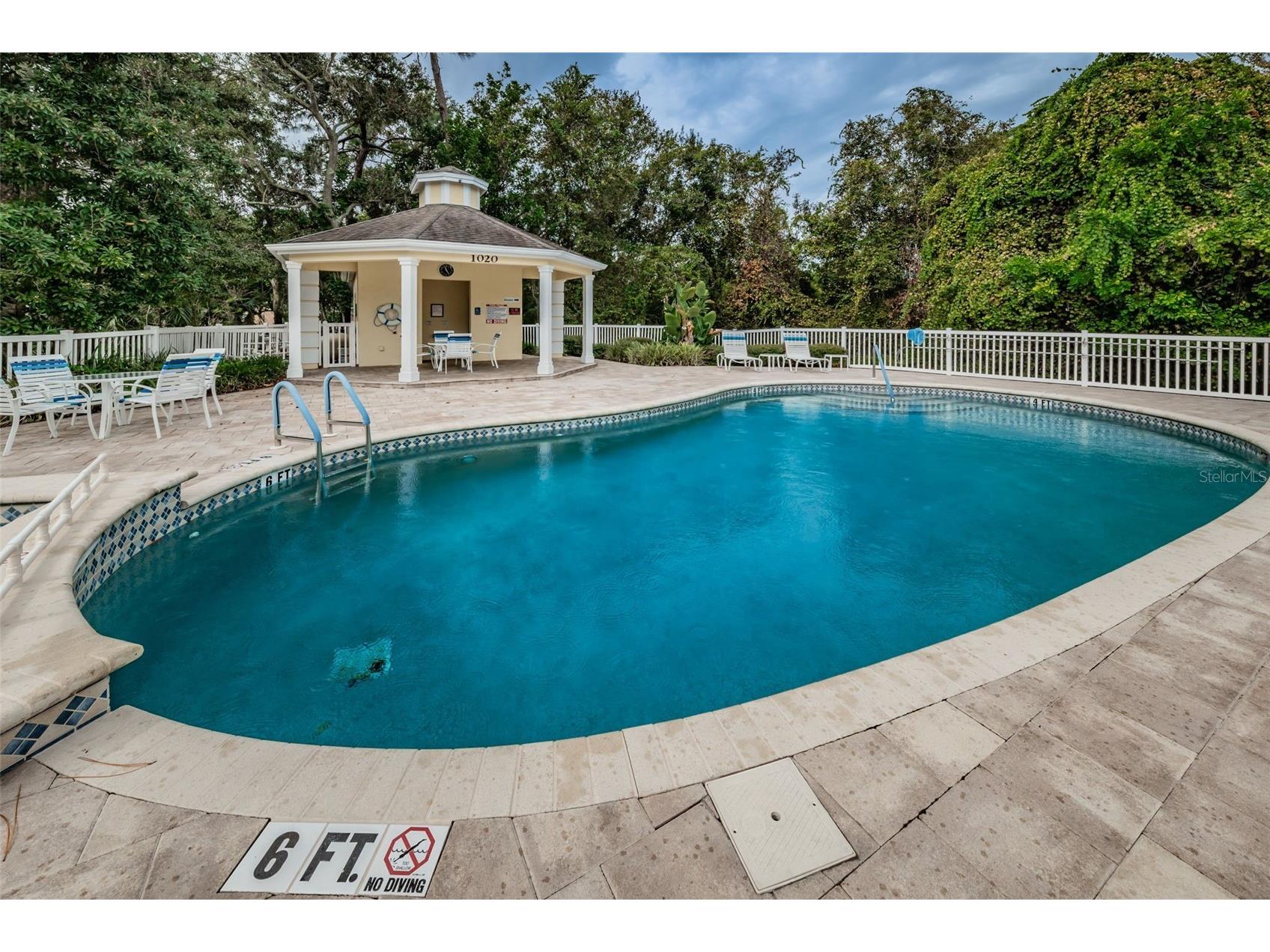 1185 Royal Boulevard Palm Harbor FL 34684 TB8491791 image54