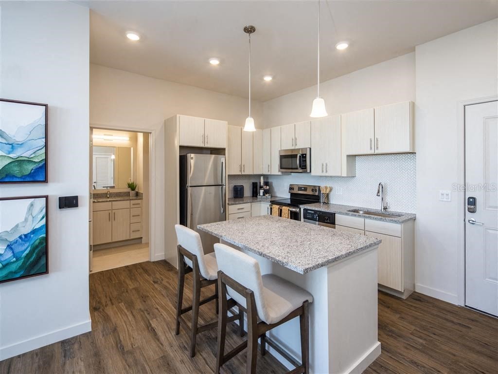 1185 S Pinellas Avenue #A3 Tarpon Springs FL 34689 O6410131 image22