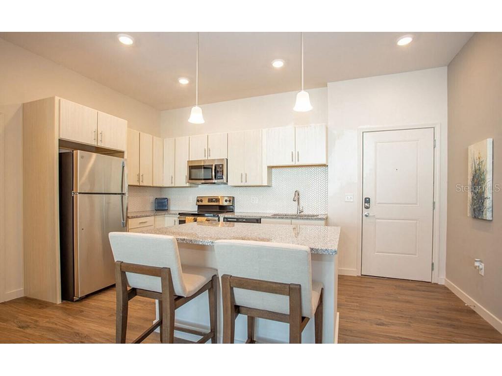 1185 S Pinellas Avenue #B1 Tarpon Springs FL 34689 O6410139 image23