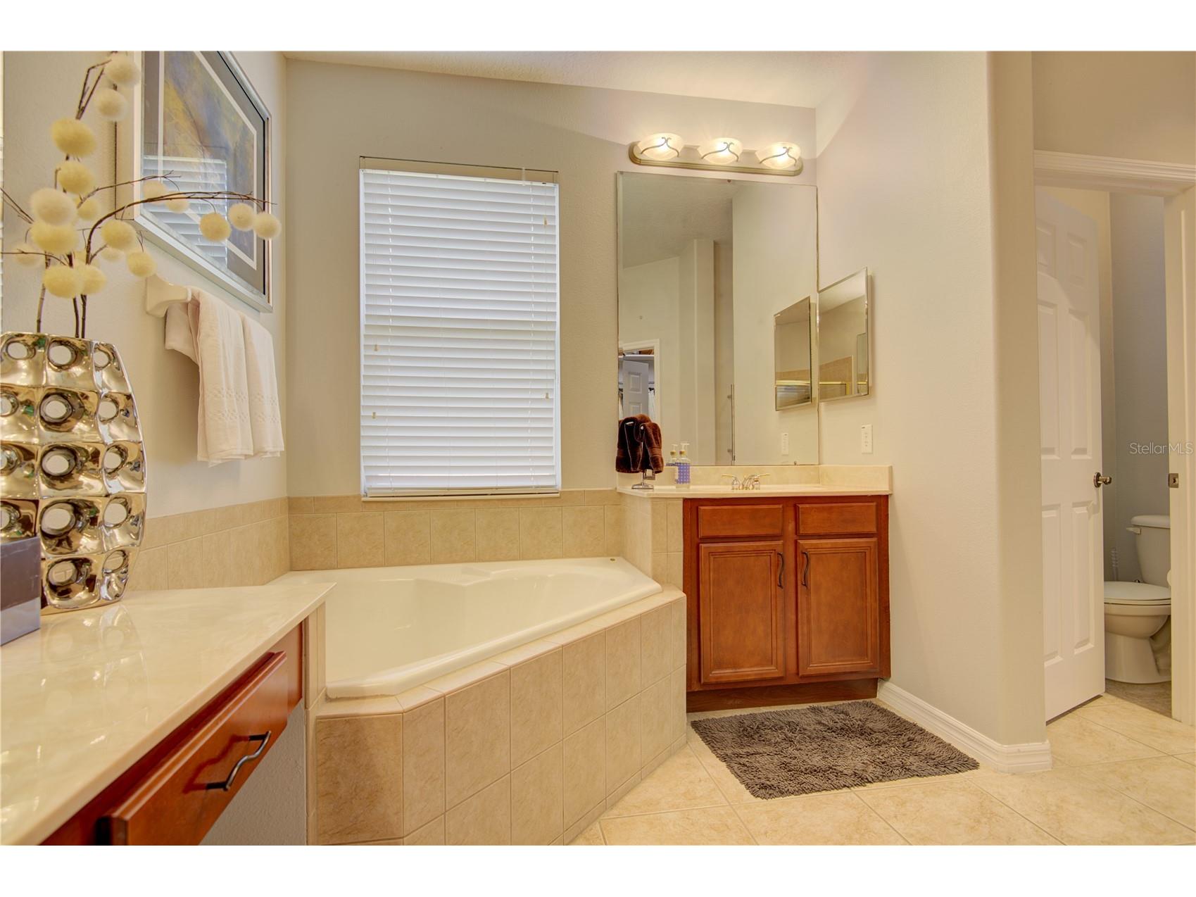 1185 Stellar Drive Oviedo FL 32765 O6401965 image40