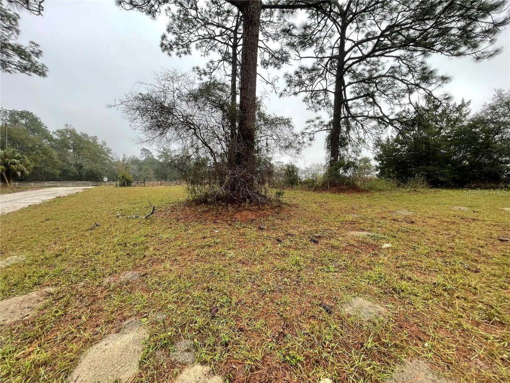 11850 SE 82nd Street Morriston FL 32668 OM670986 image1