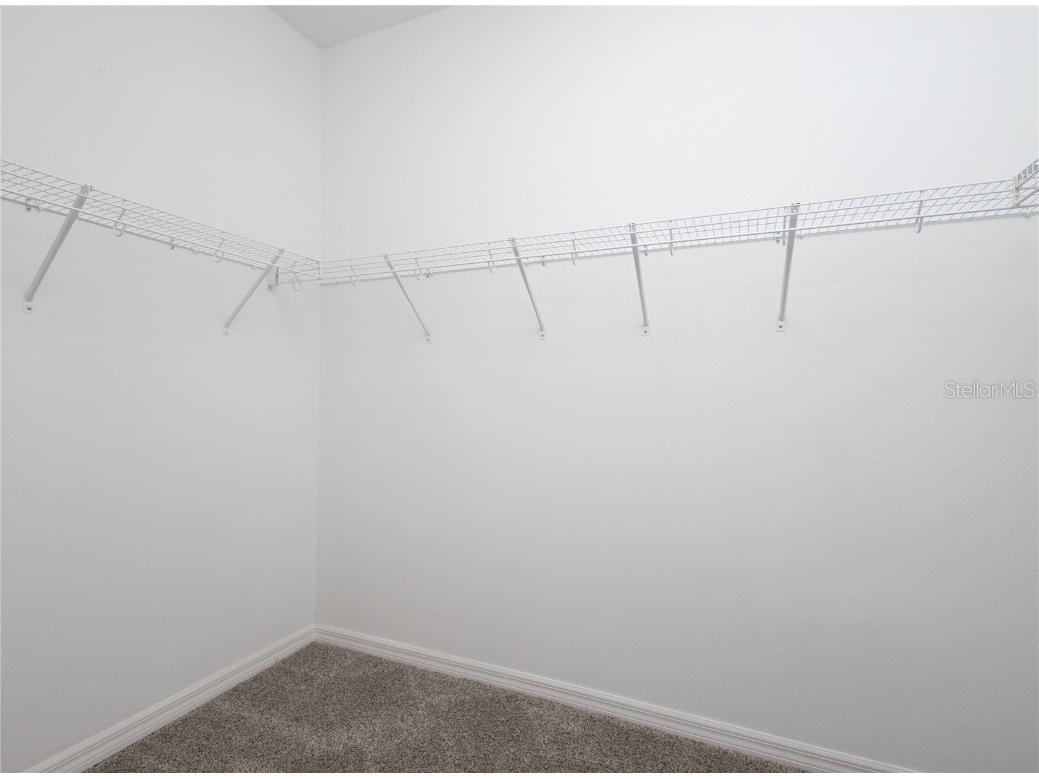 11851 Brighton Knoll Loop Riverview FL 33579 TB8445373 image16