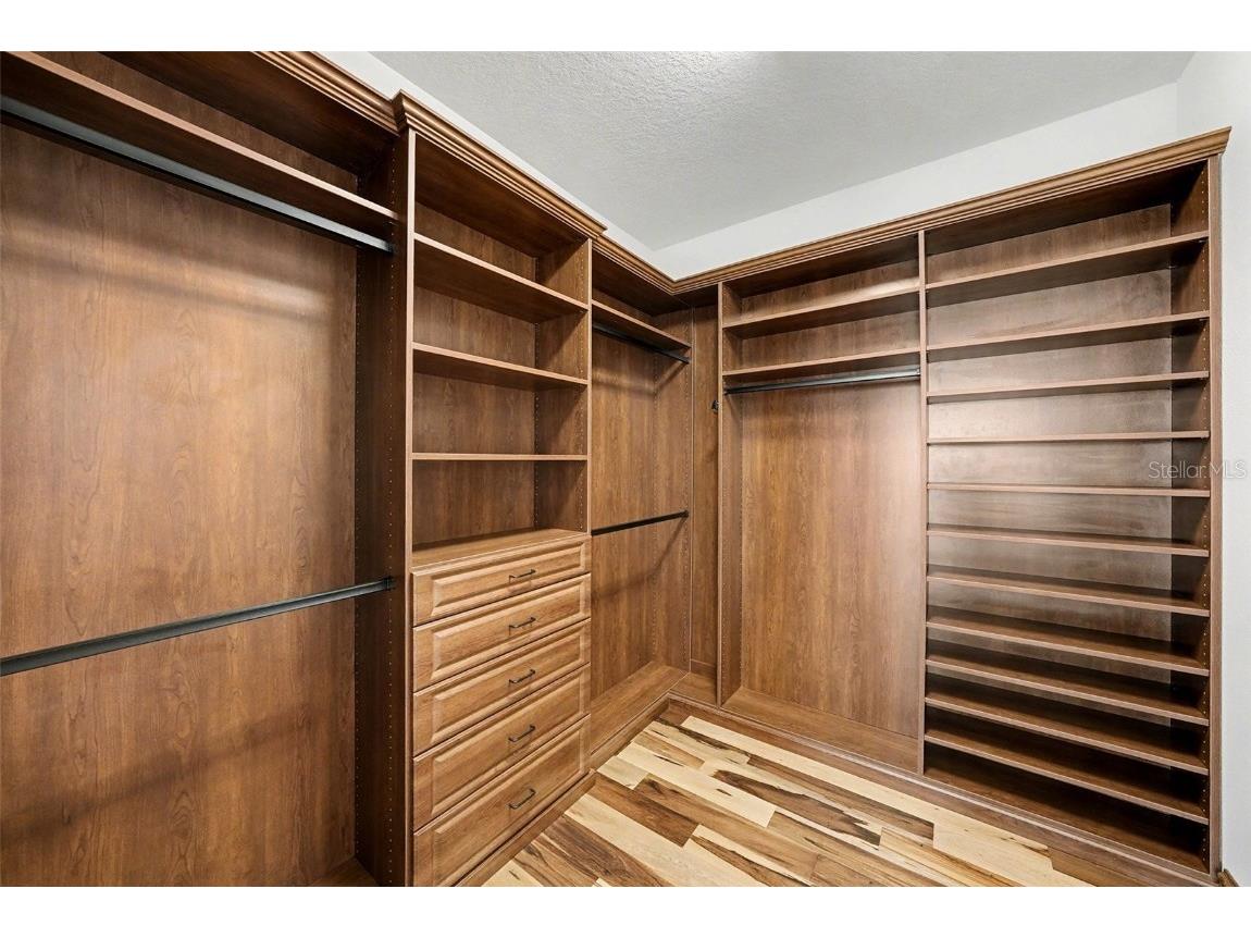 11851 Frost Aster Drive Riverview FL 33579 TB8456337 image20