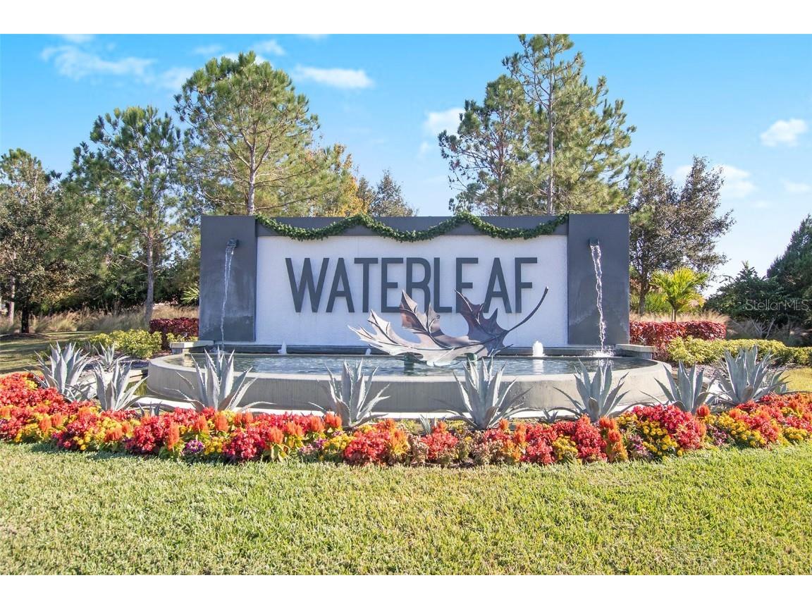 11851 Frost Aster Drive Riverview FL 33579 TB8456337 image36