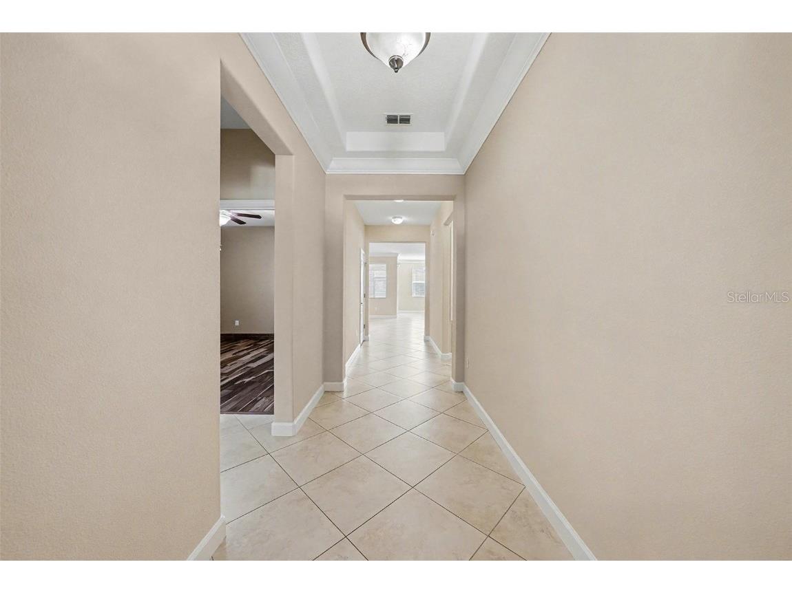 11851 Frost Aster Drive Riverview FL 33579 TB8456337 image6