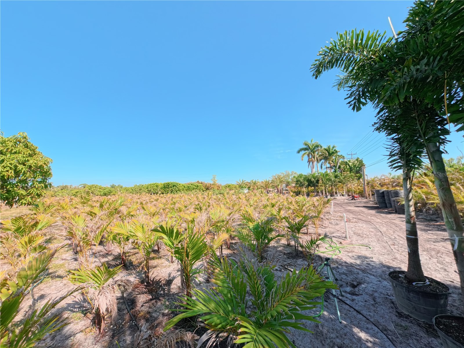 11851 Stringfellow Road Bokeelia FL 33922 A4692297 image25