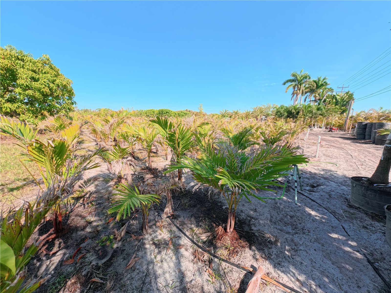 11851 Stringfellow Road Bokeelia FL 33922 A4692297 image26