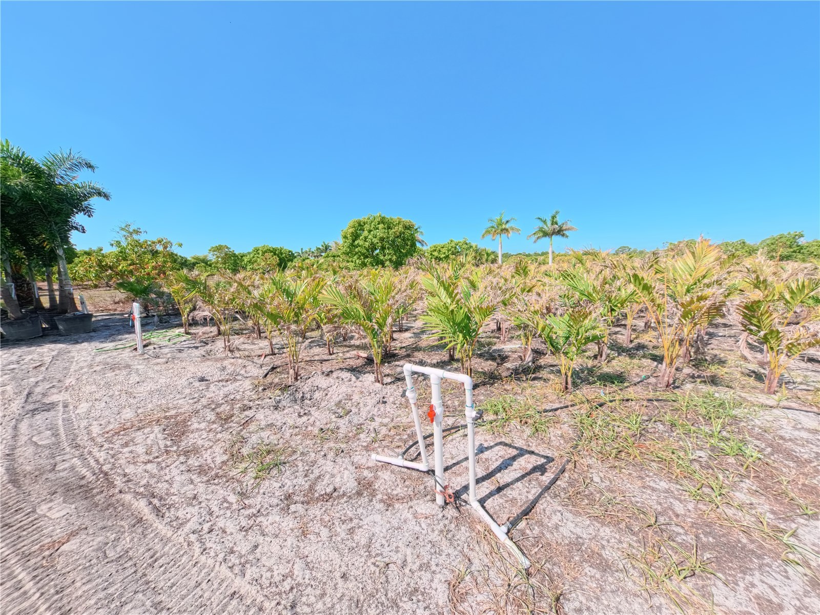 11851 Stringfellow Road Bokeelia FL 33922 A4692297 image27