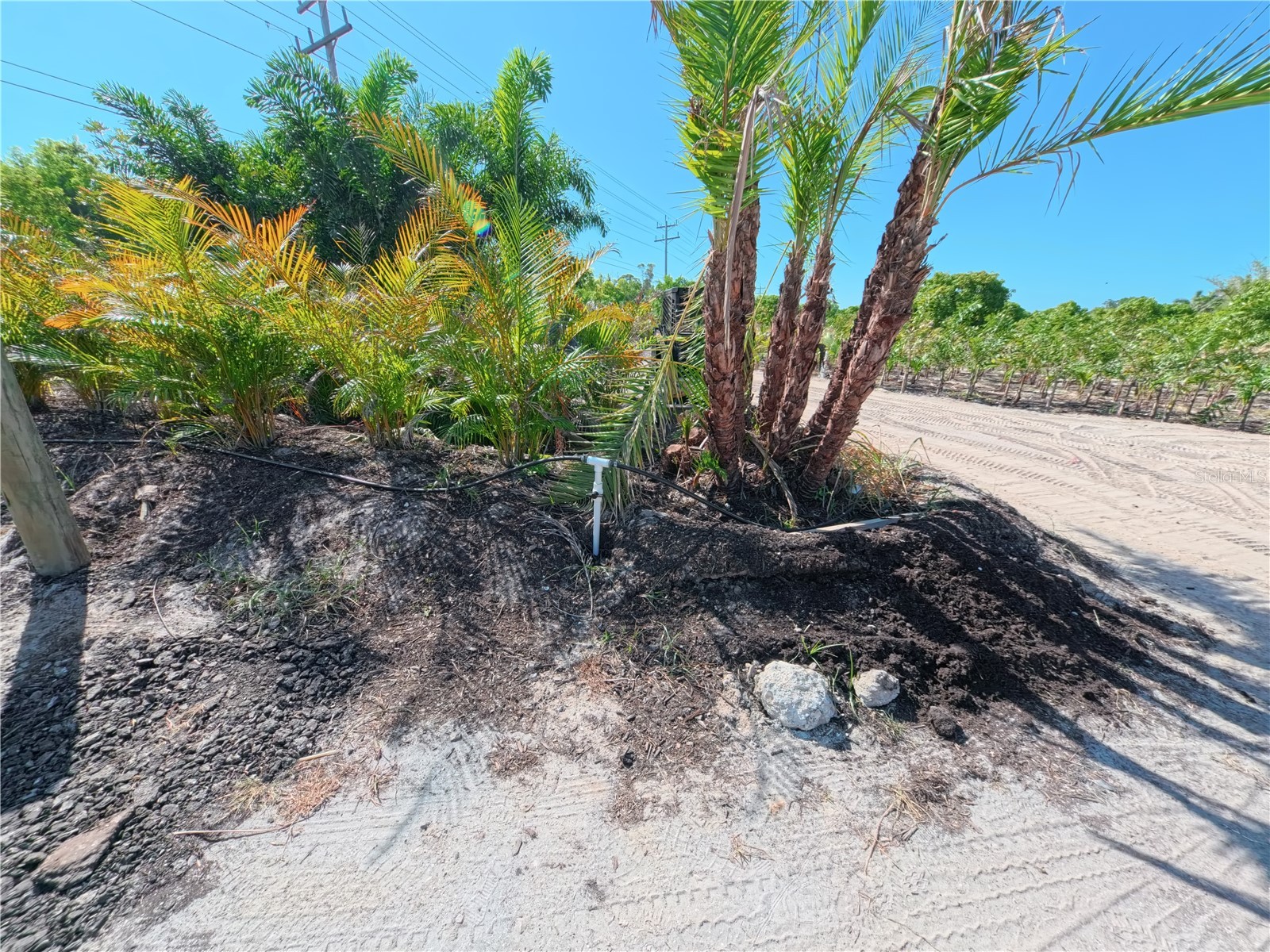 11851 Stringfellow Road Bokeelia FL 33922 A4692297 image29
