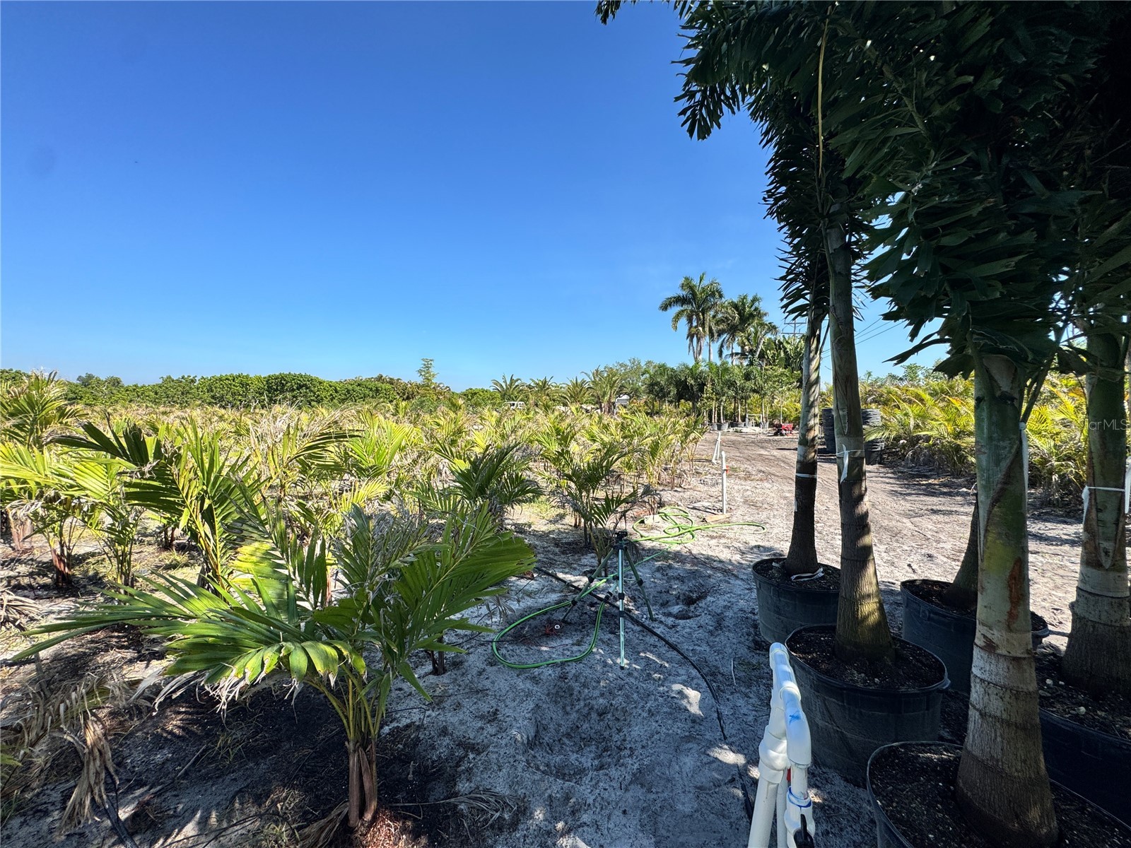 11851 Stringfellow Road Bokeelia FL 33922 A4692297 image36
