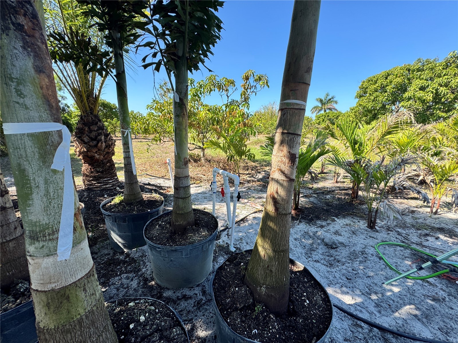 11851 Stringfellow Road Bokeelia FL 33922 A4692297 image37