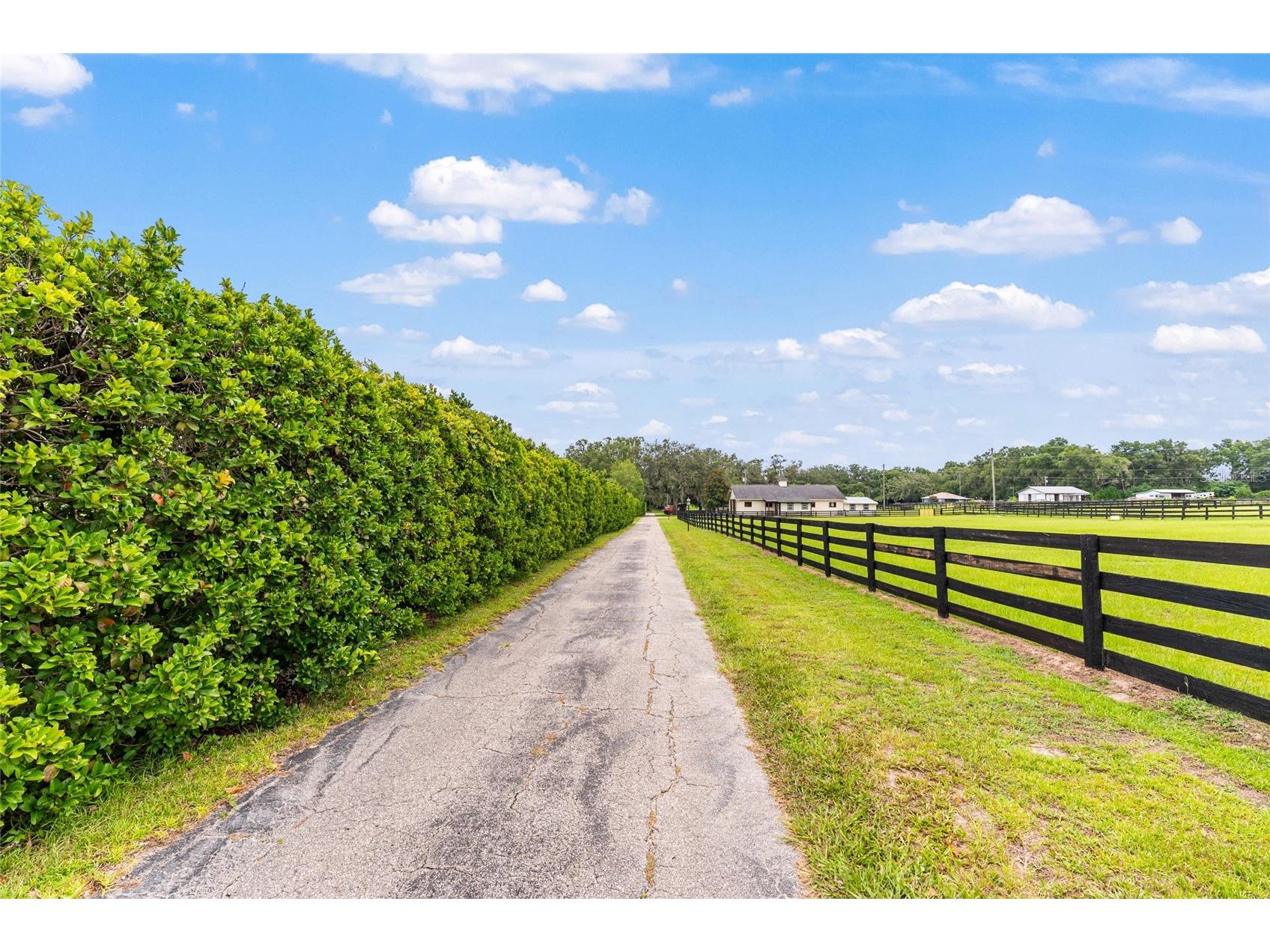 11851 SW 38th Street Ocala FL 34481 OM727841 image64