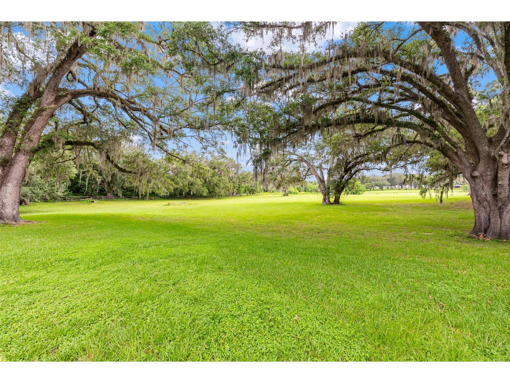 11851 SW 38th Street Ocala FL 34481 OM727841 image75