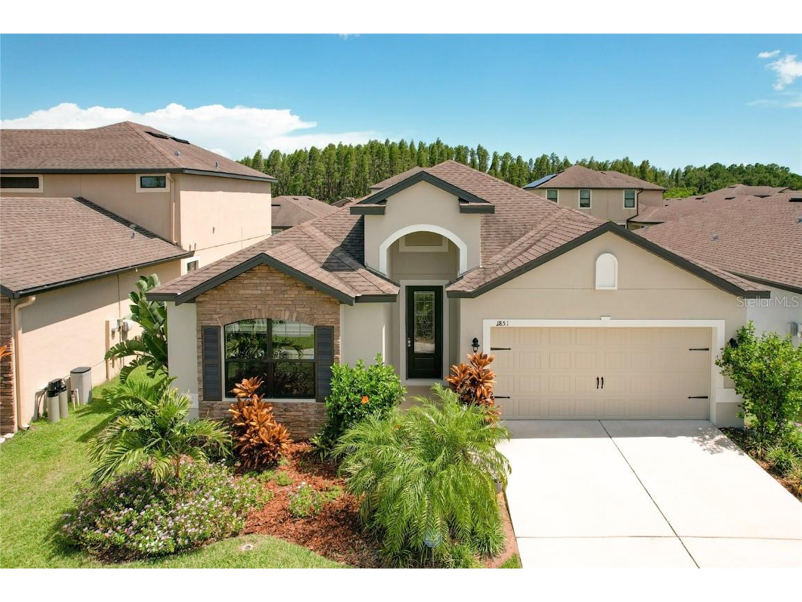 11851 Valhalla Woods Drive Riverview FL 33579 O6127051 image1