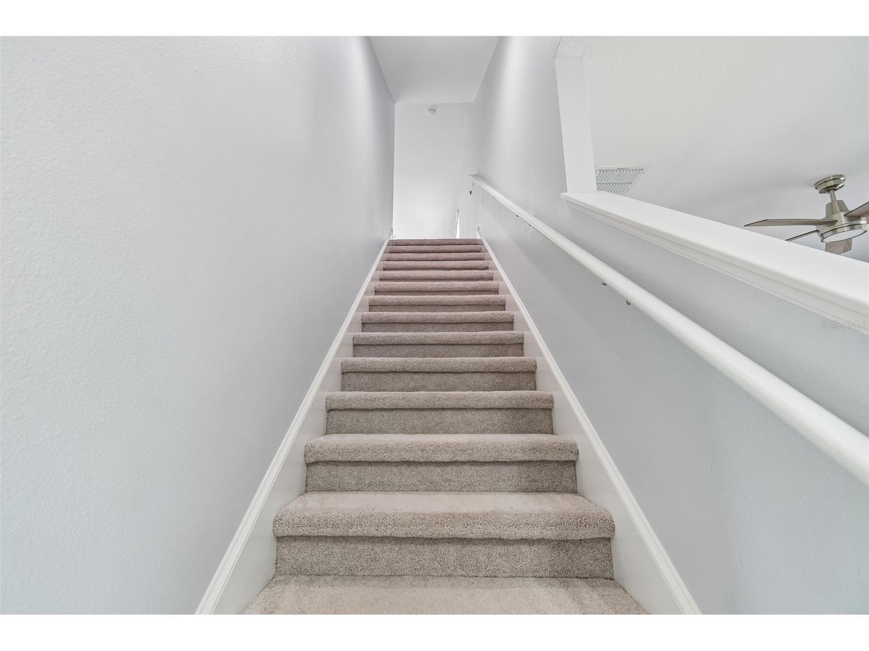 11852 Gavin Lane Odessa FL 33556 W7886129 image38